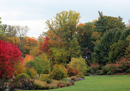 3up_bioswale_maple-418x293