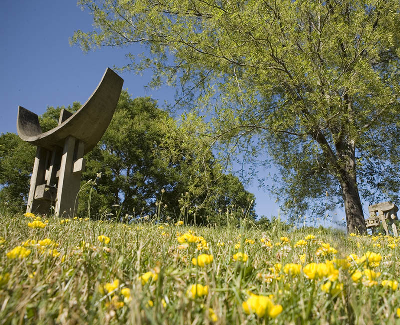Sculpture garden