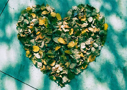 Heart shaped pile of dried leaves on a sidewalk