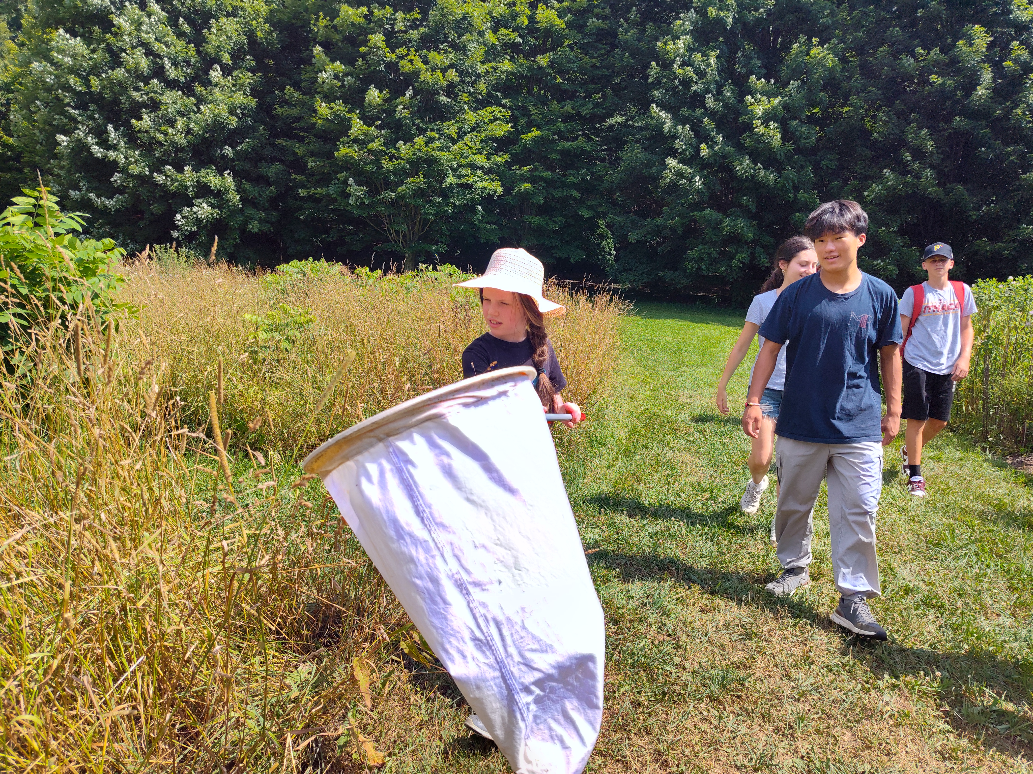 Students with bug net in a field