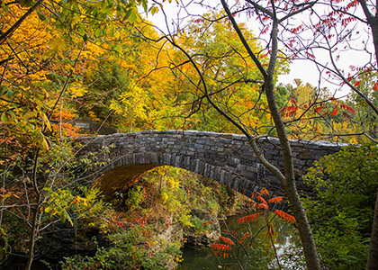 stone bridge over creek in woods in fall