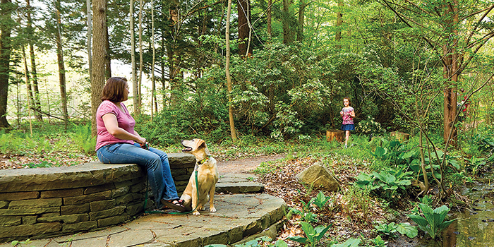 woman sitting on stone bench with yellow dog in the garden