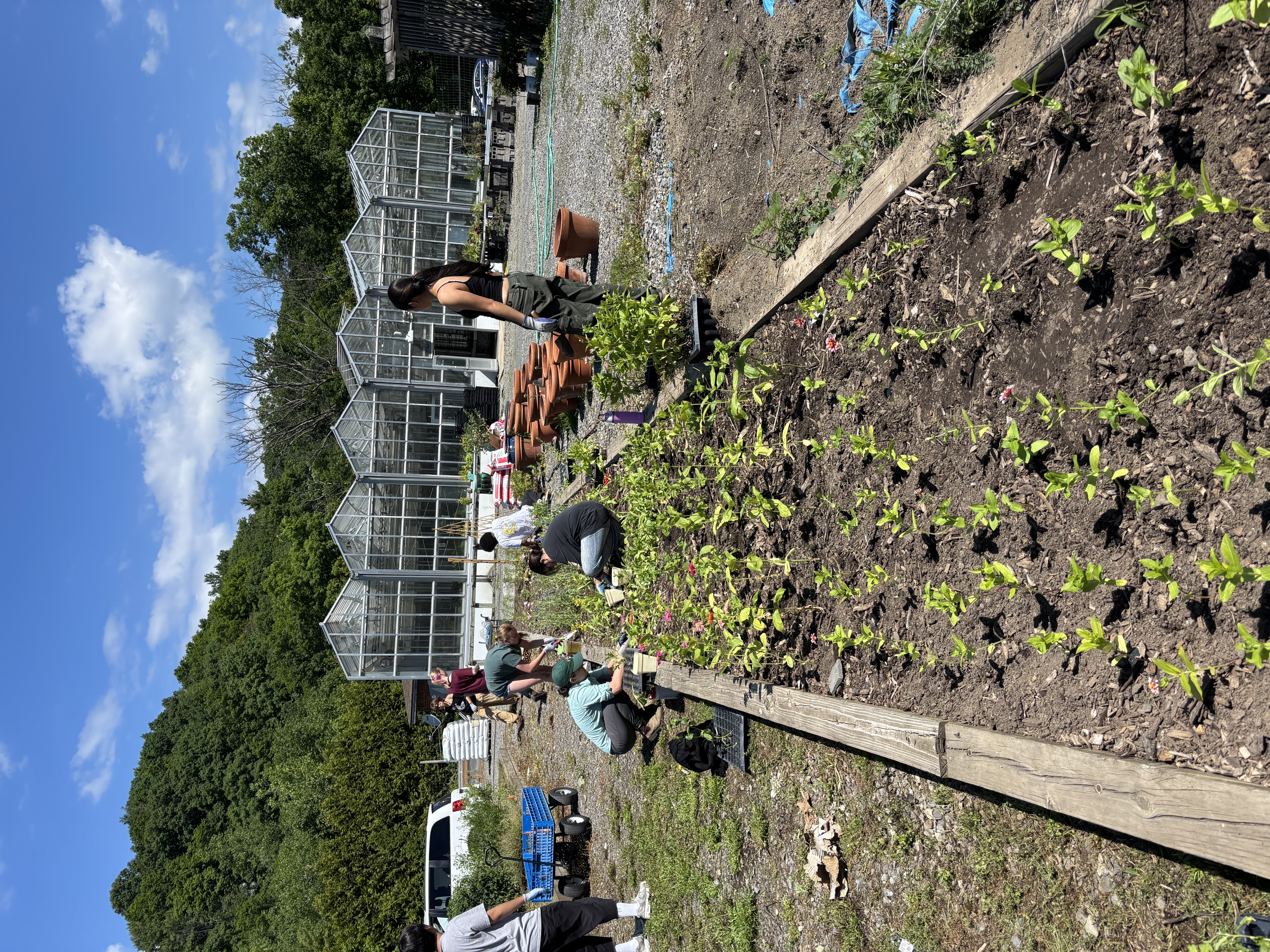 student leaders planting a flower garden
