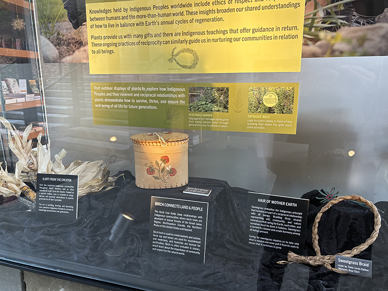 image of braid of plant material and birch bark basket in glass museum case