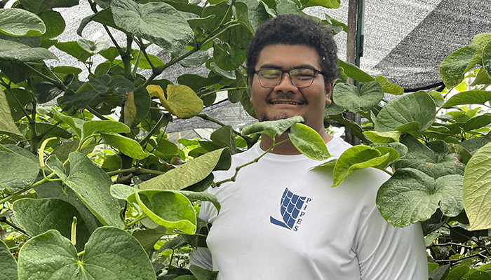 young man with short black hair standing among leaves of a fruit tree