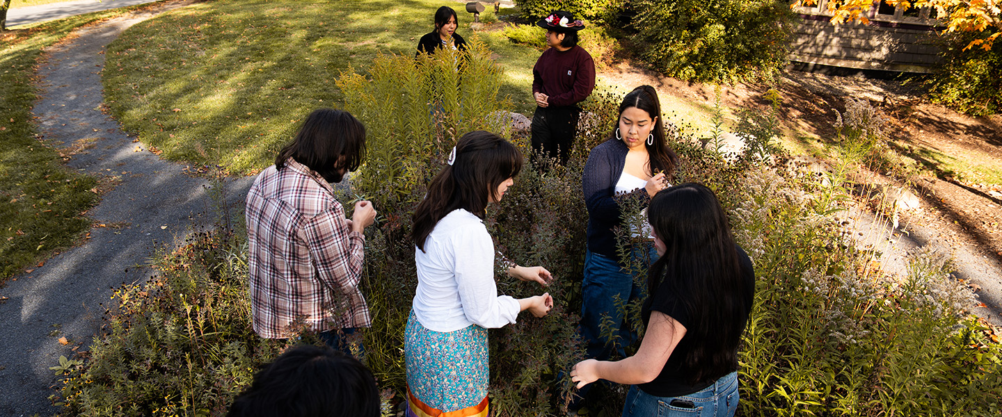 students exploring plants in a garden