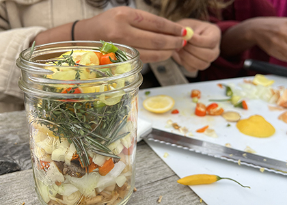 hands working with plants