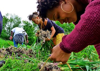 people working in the garden