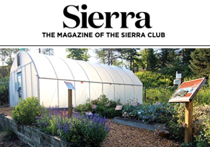 How Your Garden can be Part of the Climate Solution