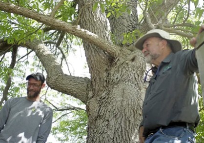 Two men standing under a tree