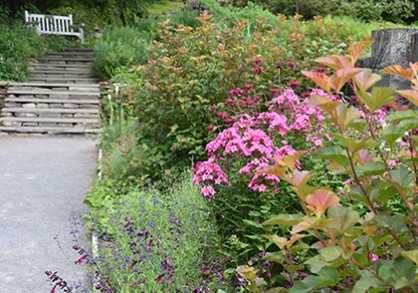 A walk way lined with plants and flowers