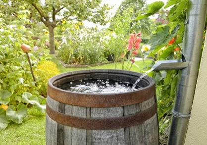 3up_Rain-Barrels-418x293