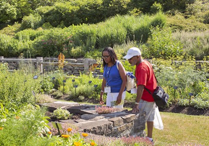 A couple enjoying the Herb garden