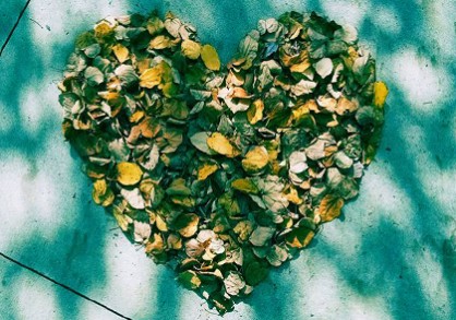 Heart shaped pile of dried leaves on a sidewalk