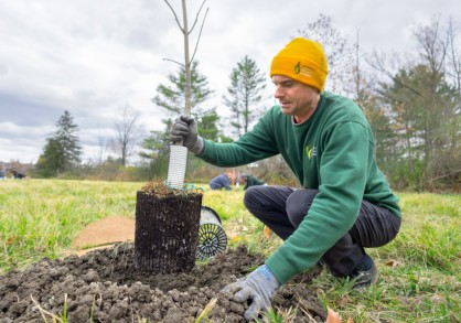 Male with teal jacket and yellow beanie squats down and plants a black ash sapling