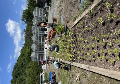 student leaders planting a flower garden
