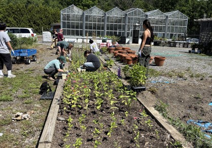 students planting small trees in a row garden
