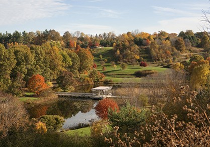view of hillsides covered with trees in fall