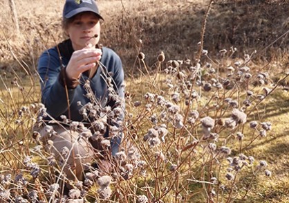 Woman in cap looking at dry vegetation