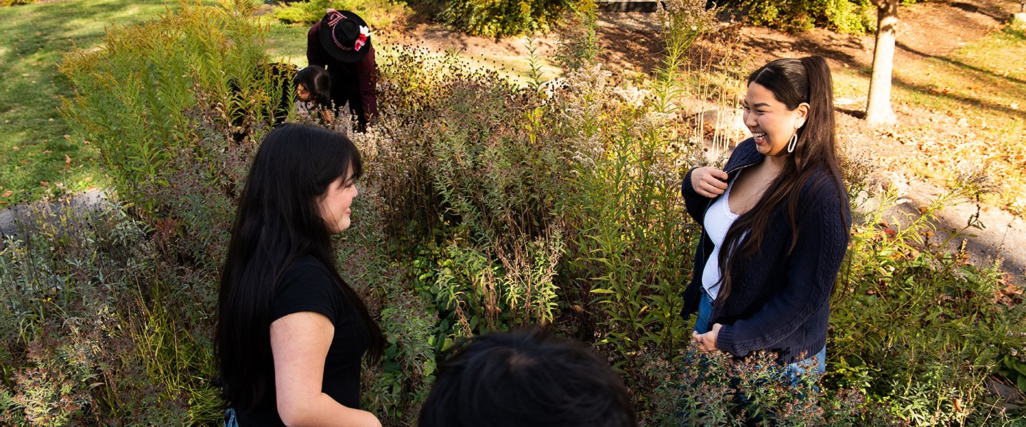 students exploring plants in a garden