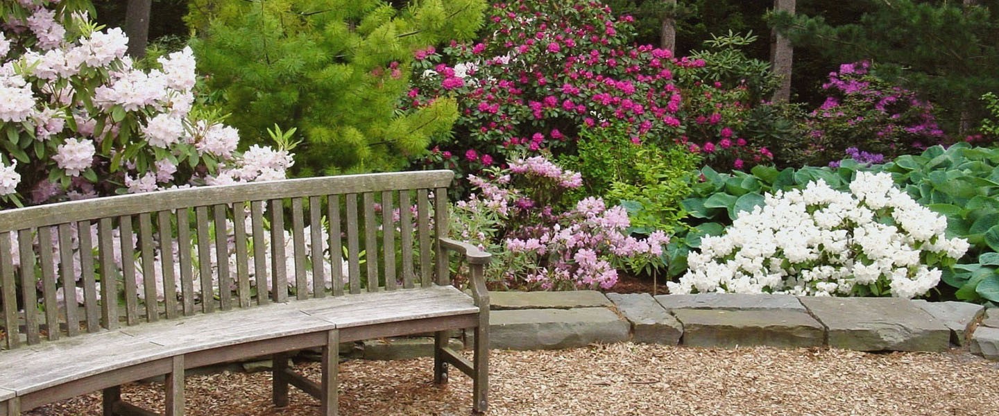 bench knoll