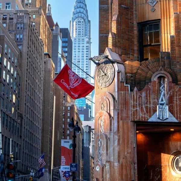 The School of Industrial and Labor Relations, NYC