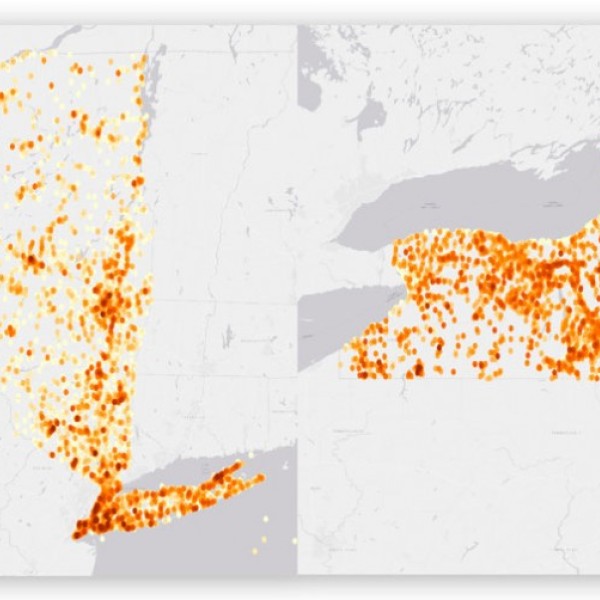 Heat maps showing bird observations in New York