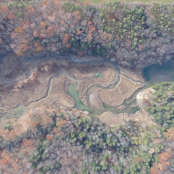 Aerial view of a lake and marsh