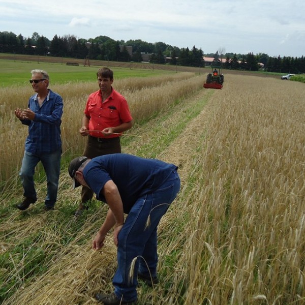 Jean-Paul Courtens in crop field