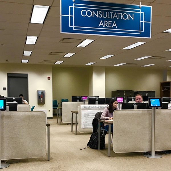 Consultation Area with Computers