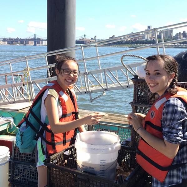 students prepare an oyster restoration experiment on a dock