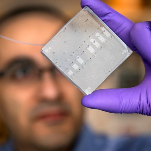 A researcher holds up a microchip