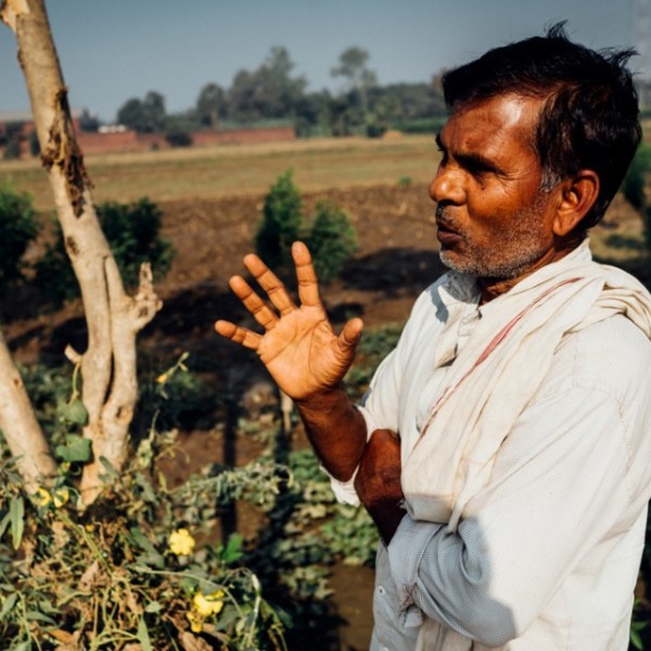 Farmer stands in field