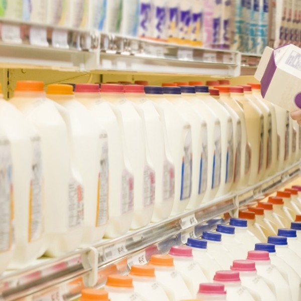 Cartons of milk in a grocery store.