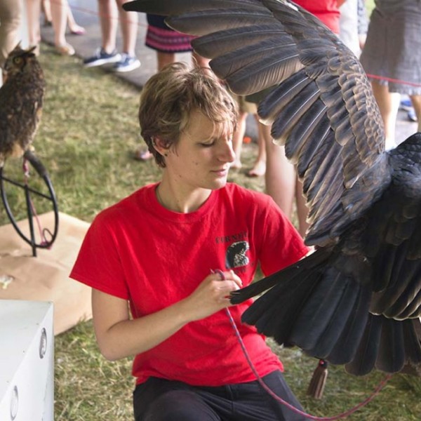 Woman working with large bird of prey