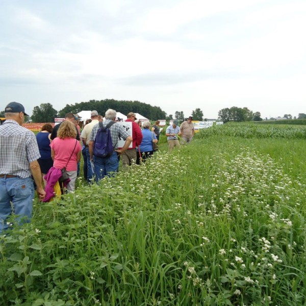 a group of visitors takes a tour of the cover crop trials planting