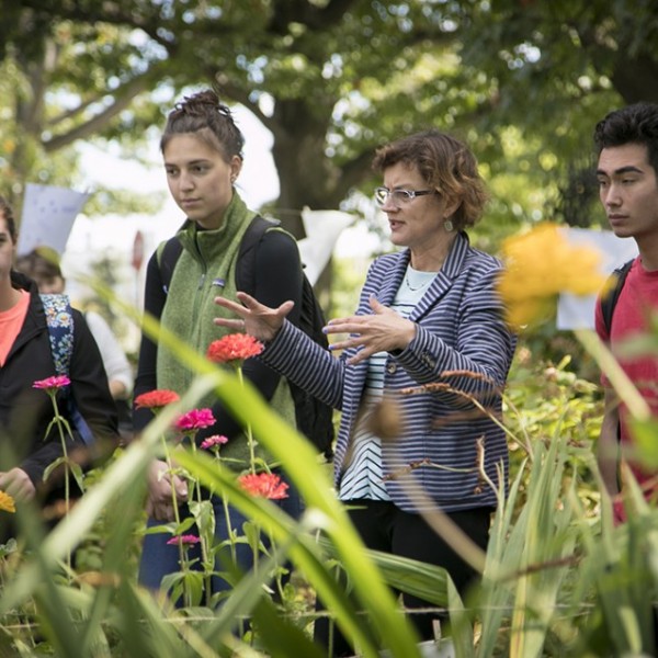 students in Minns Garden with guide
