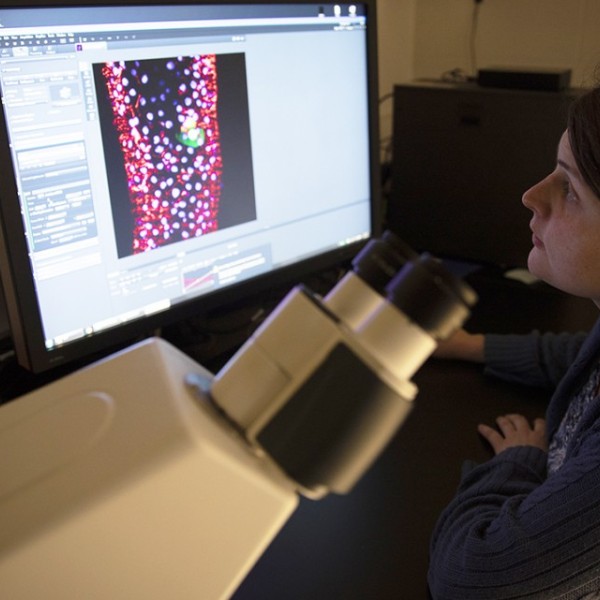 Student working with microscope