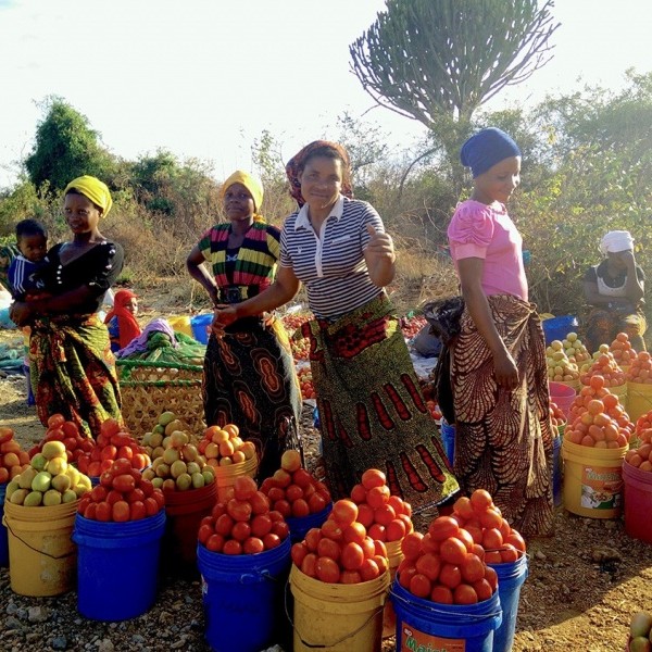 Women with buckets full of tomatoes