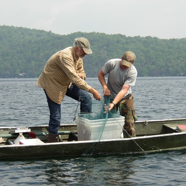 researchers haul fishing lines to collect samples