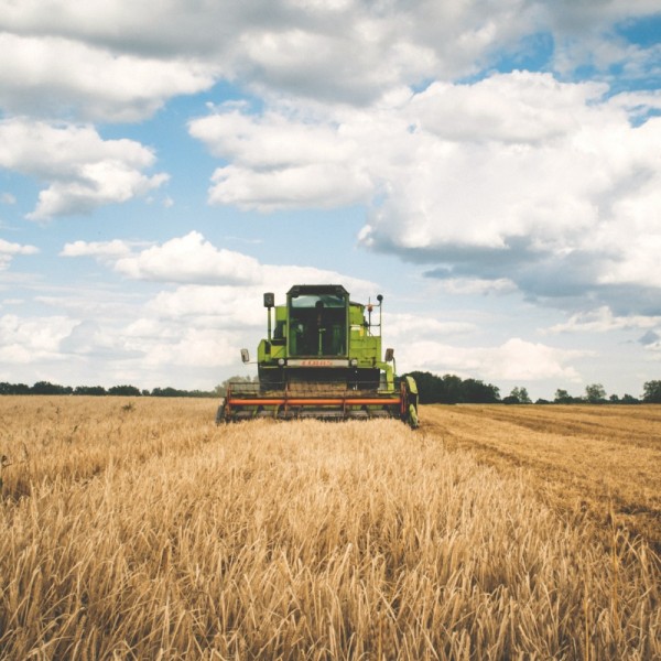 Tractor mowing hay