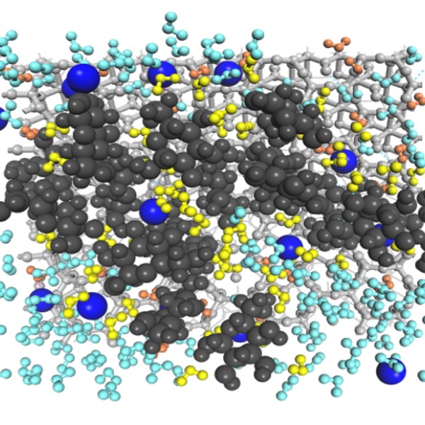 Glucose-captured water molecules, coating the mineral surface