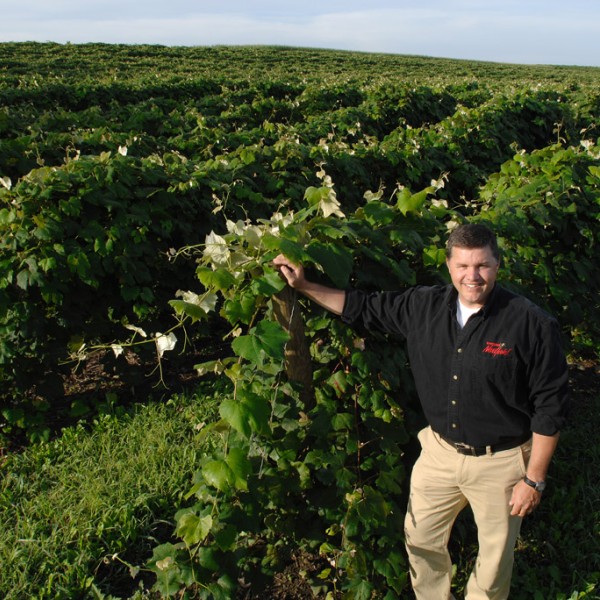 Terry Bates standing in vineyard