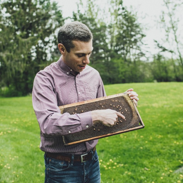 Scott McArt examines bee colonies