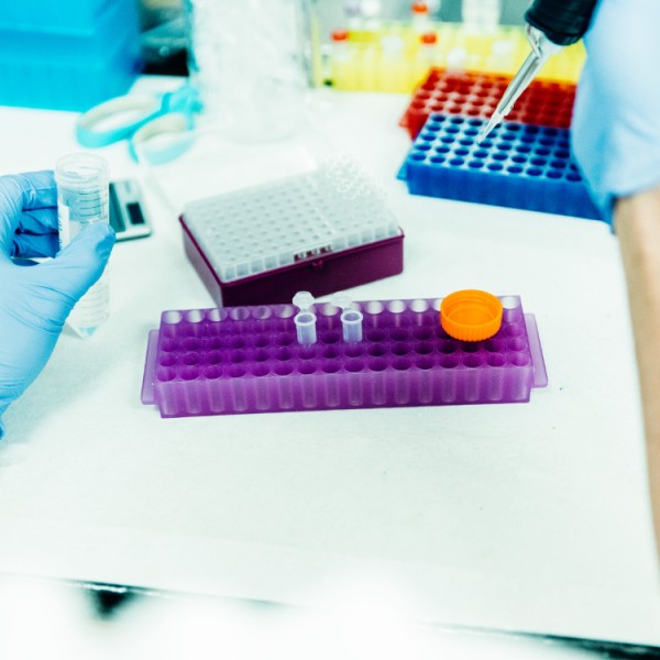 Test tubes and other lab equipment being used