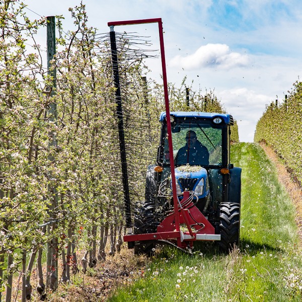 man operating tractor-mounted Darwin string thinning machine