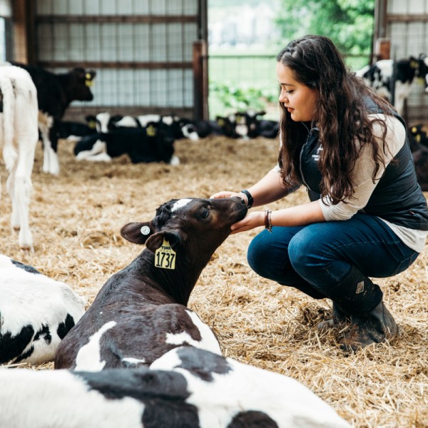 student holds calf head lovingly in her hands