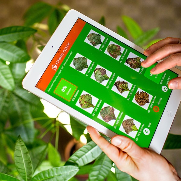 Person using Estimate app on tablet device
