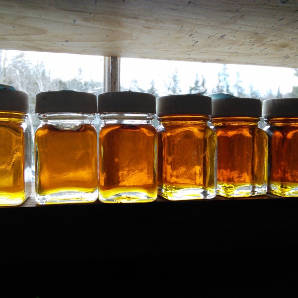 Bottles of Maple Syrup