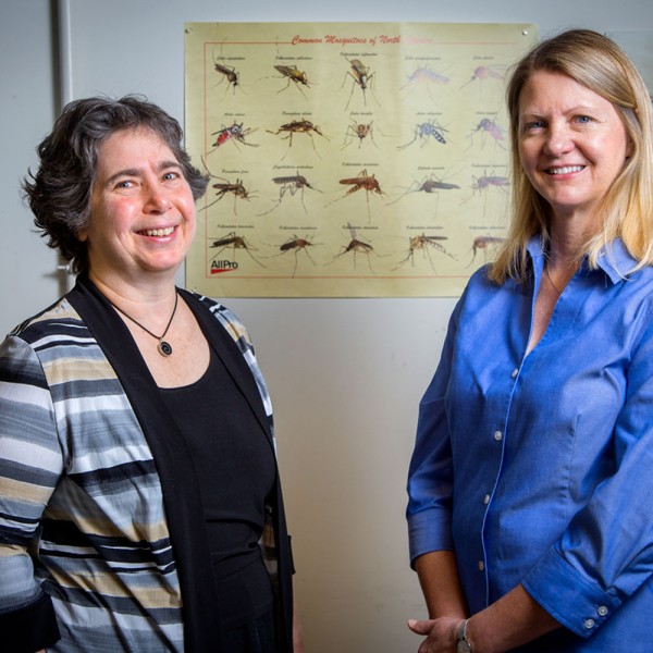Professors Mariana Wolfner and Laura Harrington pose in front of mosquito poster